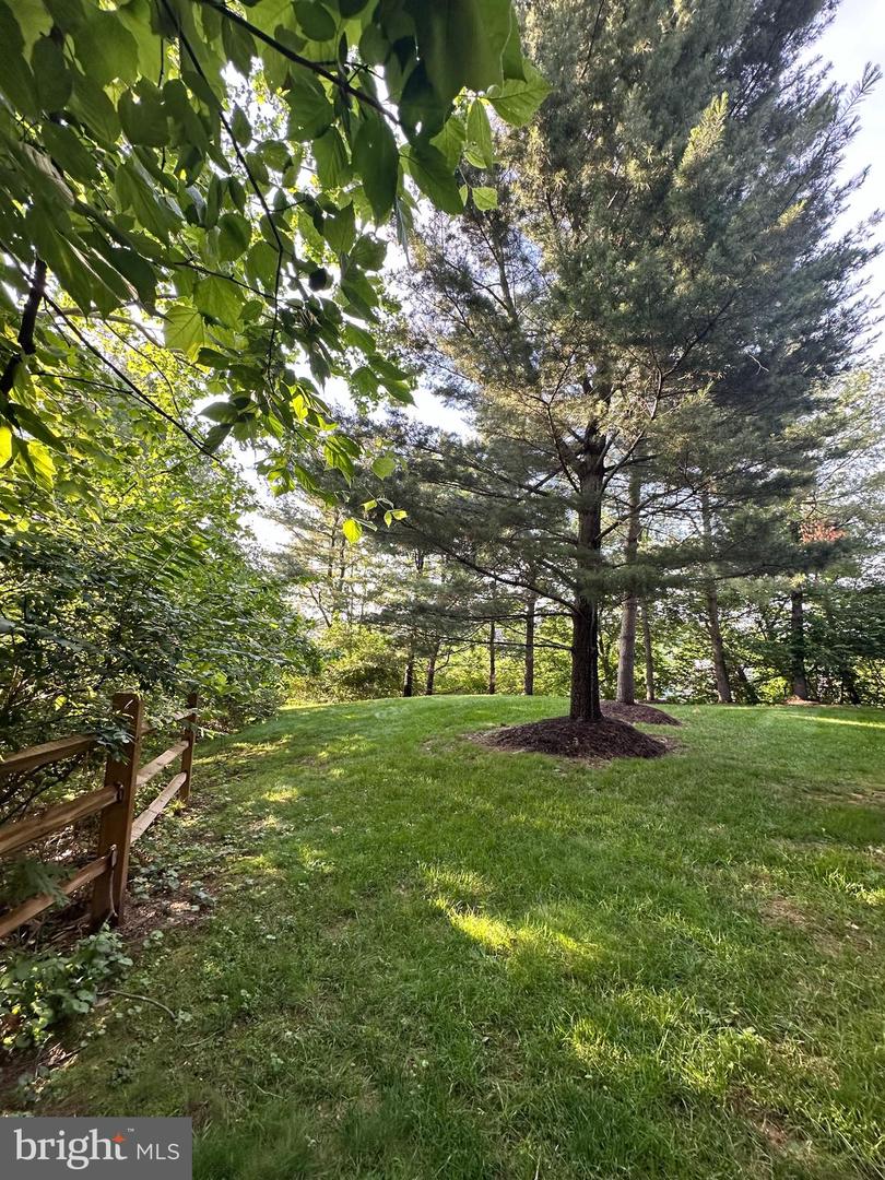 155 Weybridge Dr Property Photo 34