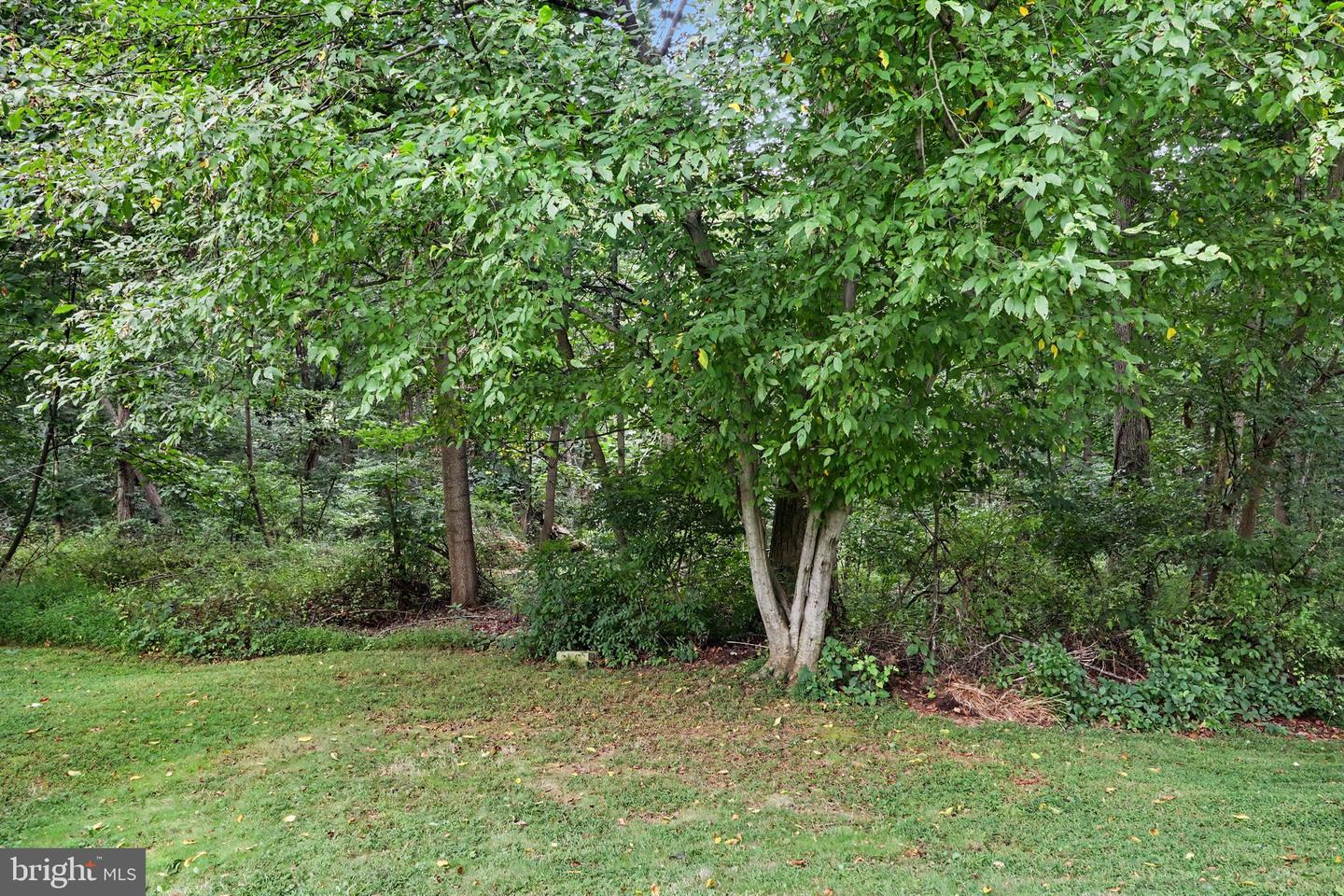 113 Sharon Dr Property Photo 27
