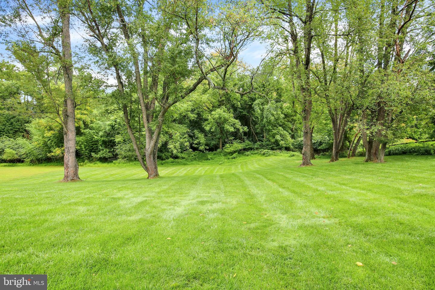 1332 N Tulip Dr Property Photo 48