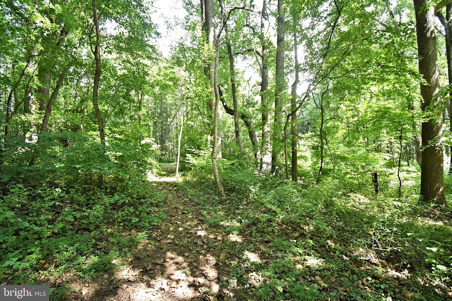 1464 Cornerstone Dr Property Photo 29