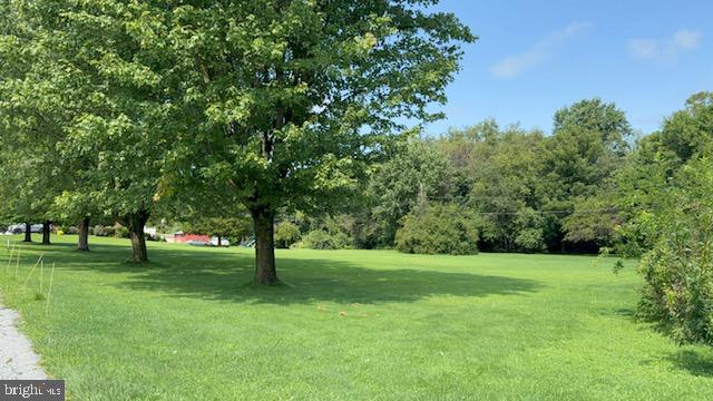715 Old Wilmington Property Photo 2