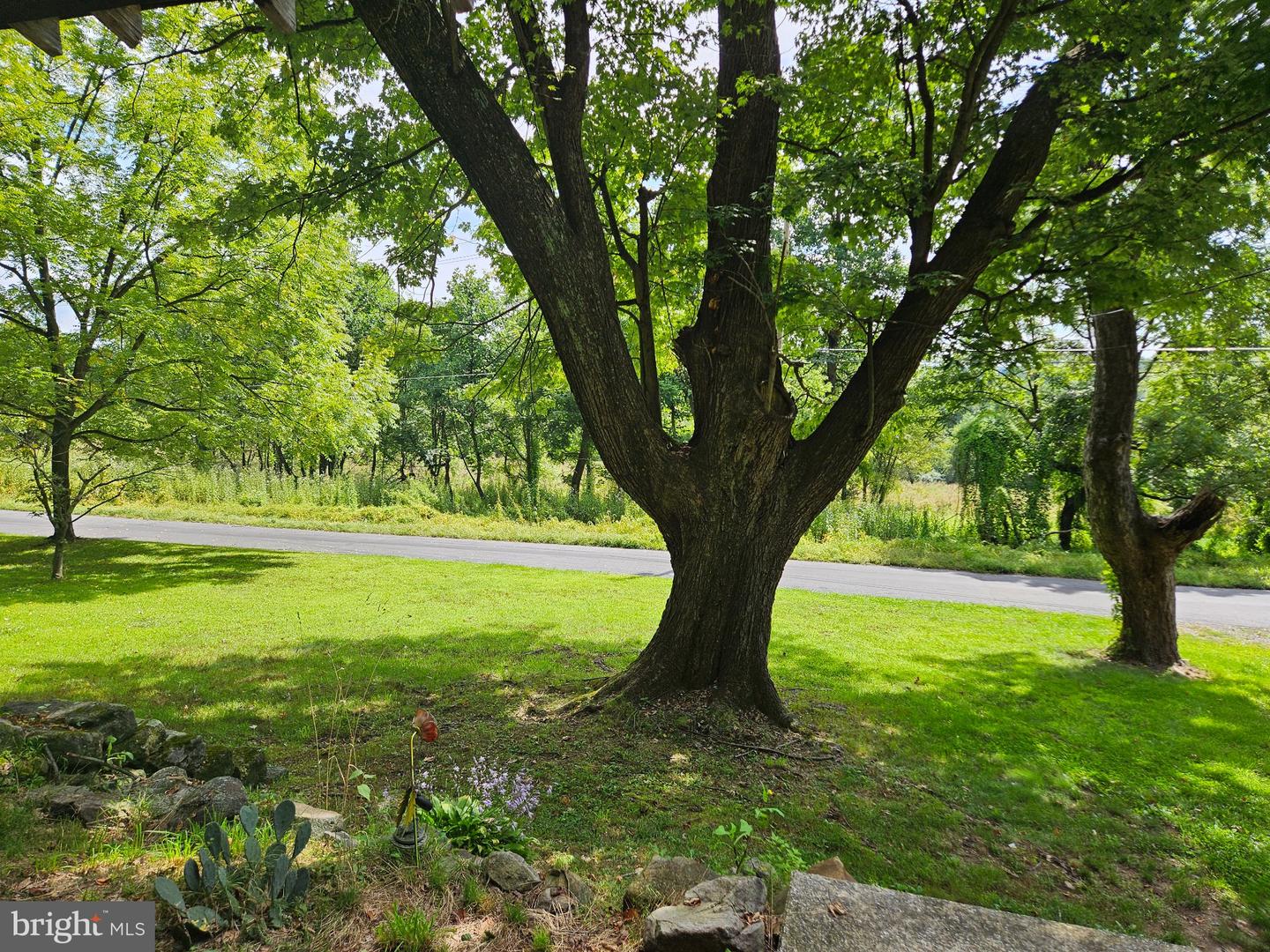 107 Bethesda Property Photo 12