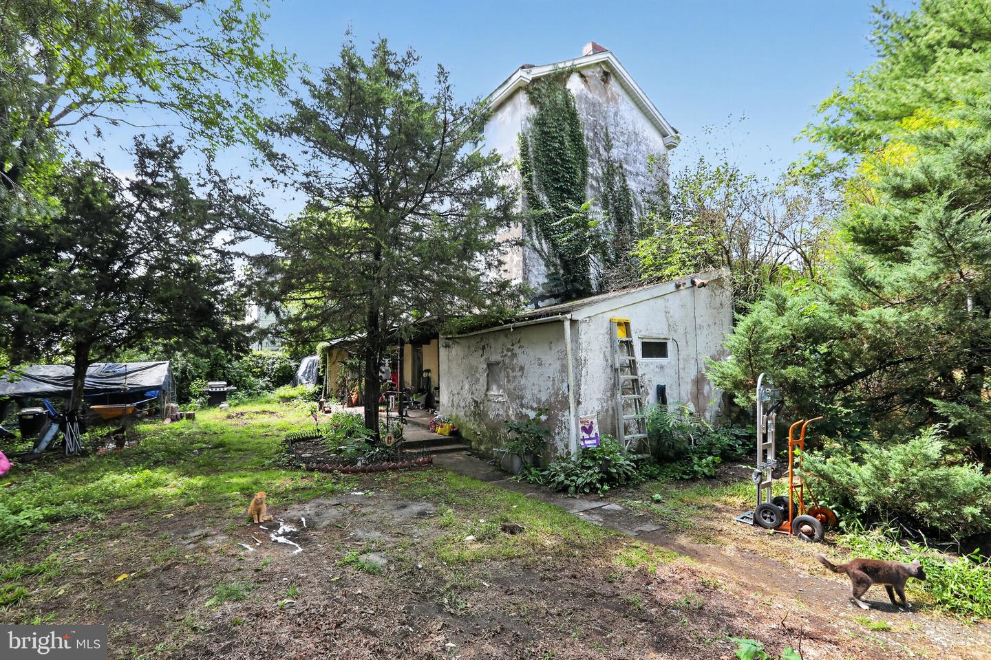 210-212 Heckle St Property Photo 5