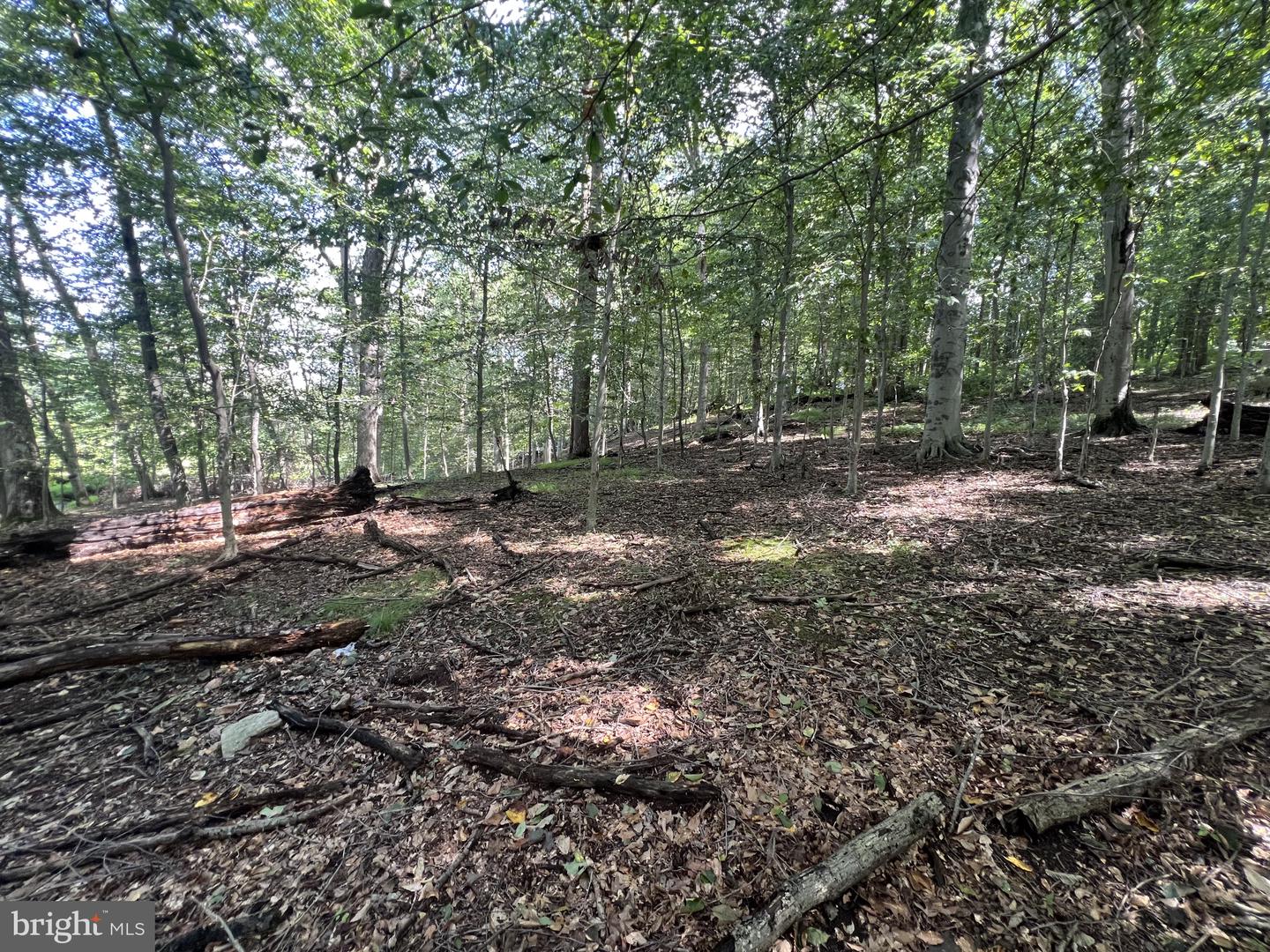 217 Bucktoe Rd Property Photo 11