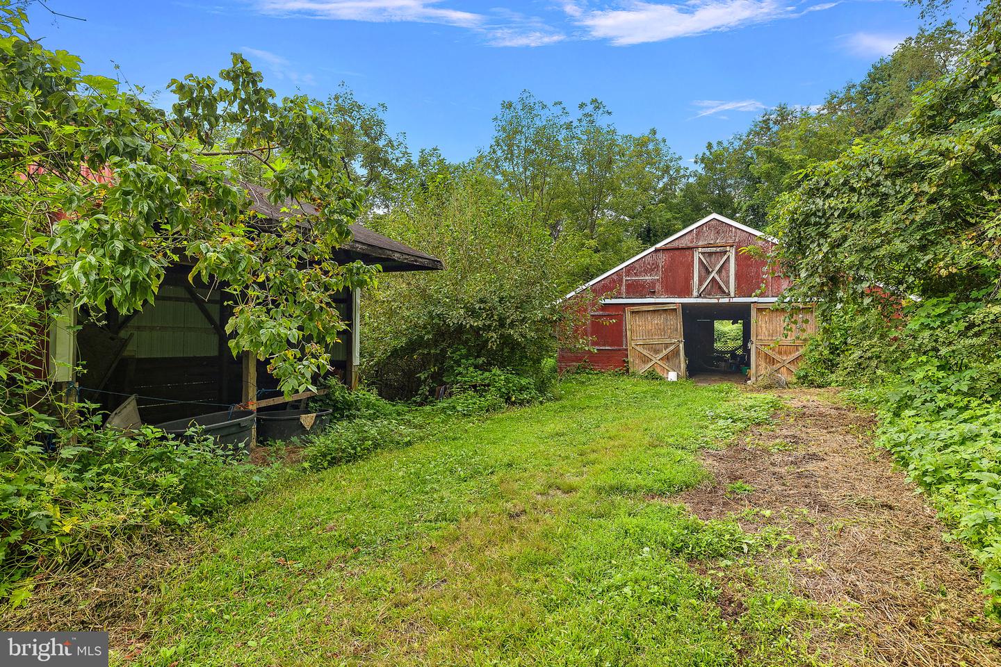 217 Bucktoe Rd Property Photo 35
