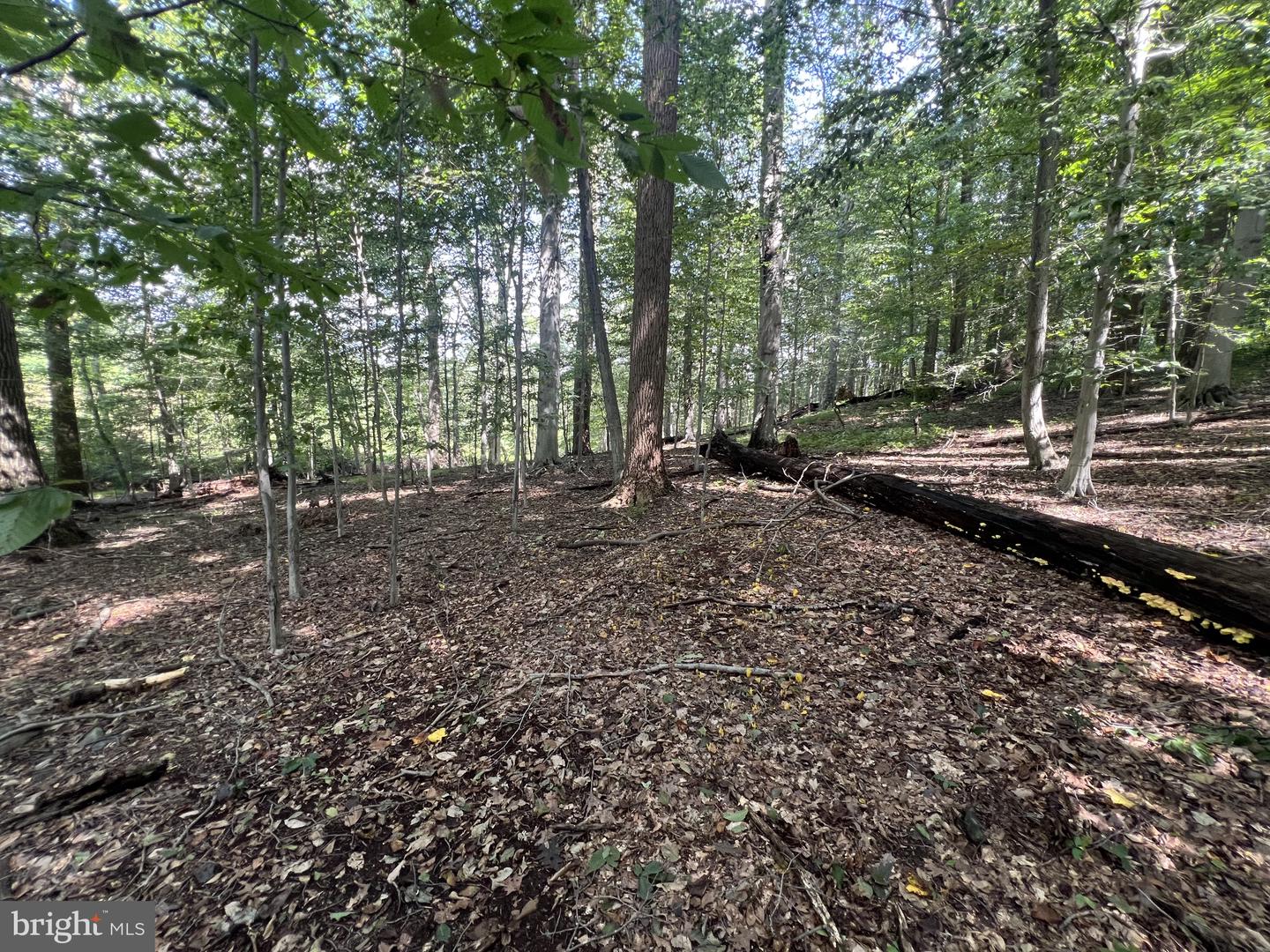 217 Bucktoe Rd Property Photo 41