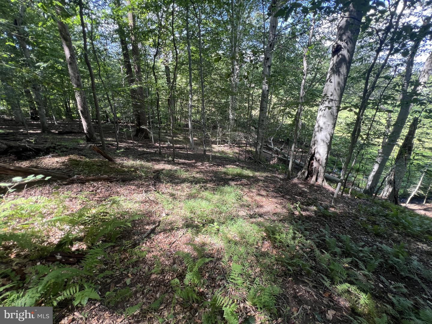 217 Bucktoe Rd Property Photo 45