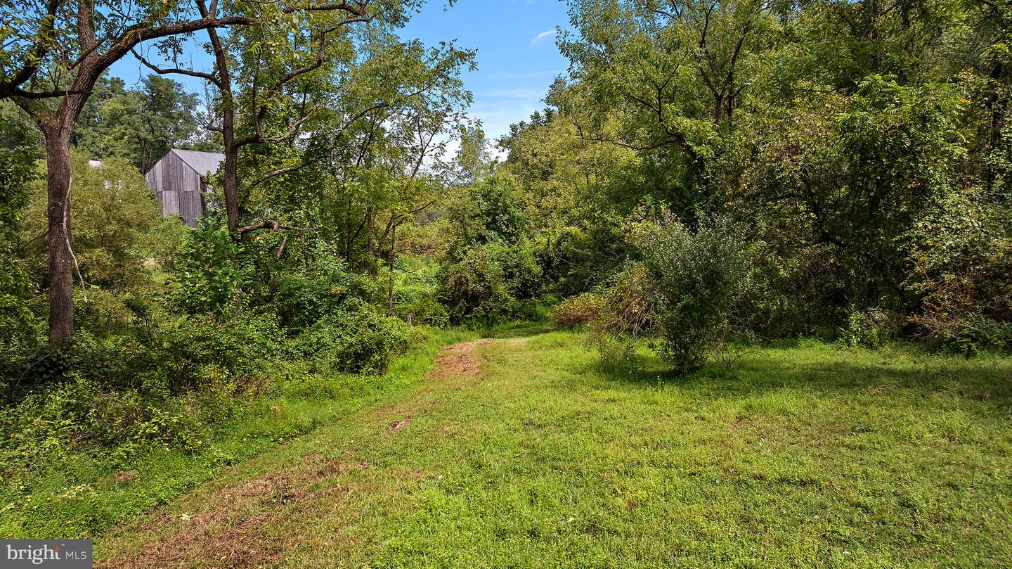 217 Bucktoe Rd Property Photo 51