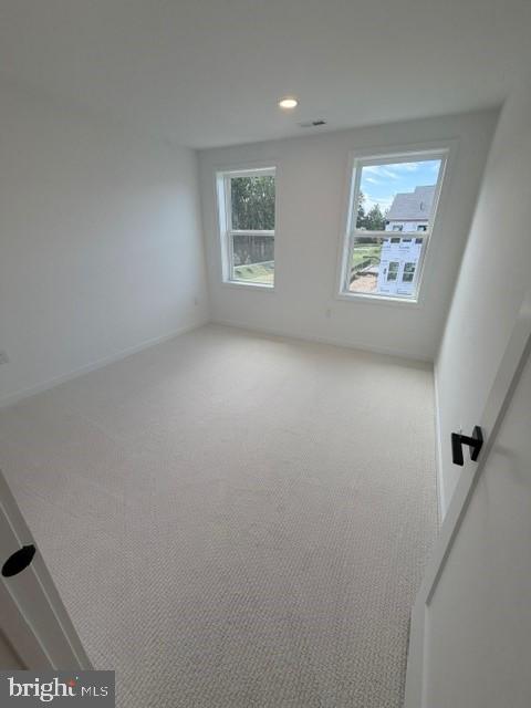 113 Camryn Ct Property Photo 16