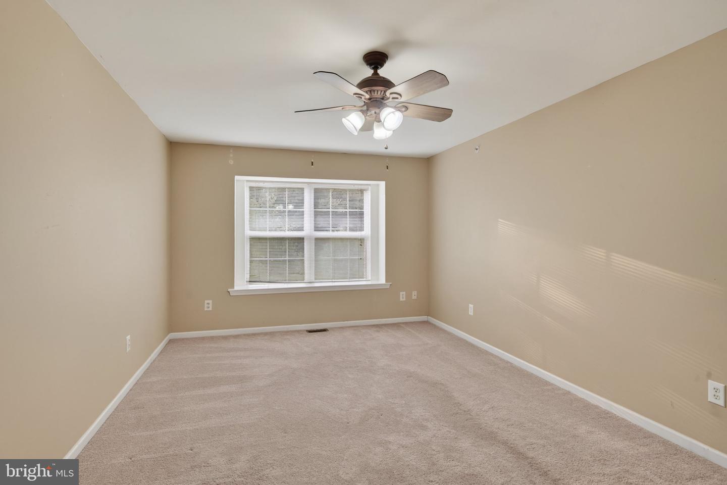 221 Tall Pines Dr Property Photo 22