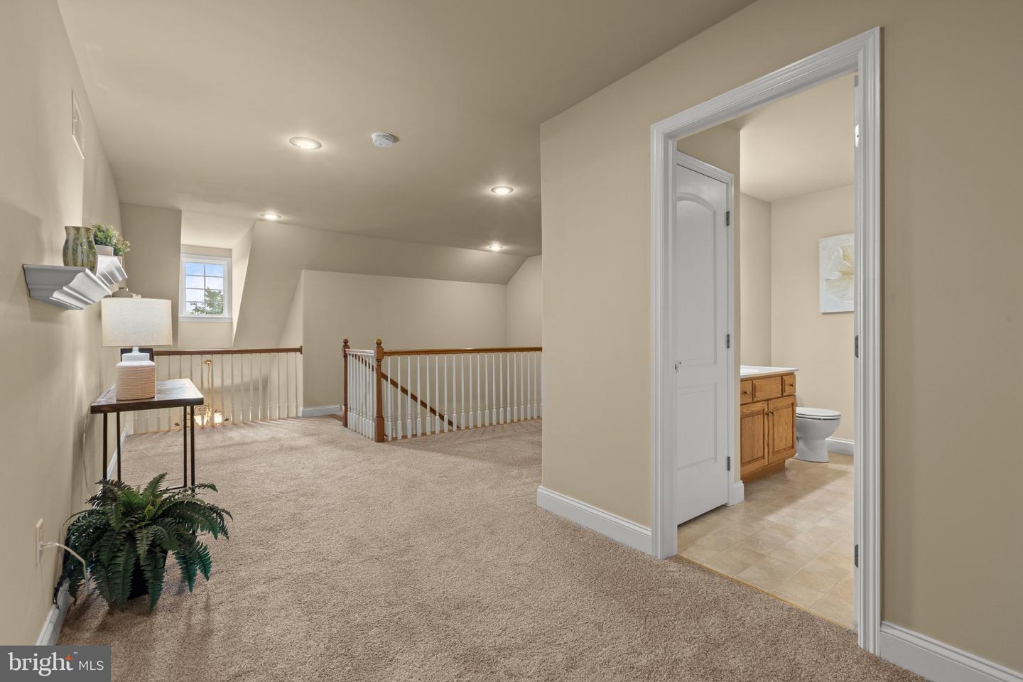 1040 Aris Pear Way Property Photo 29