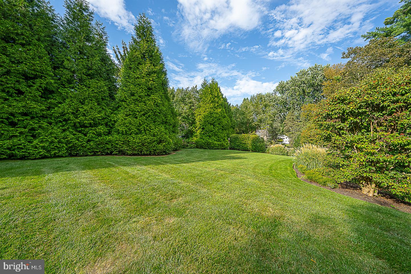 487 Winston Way Property Photo 41