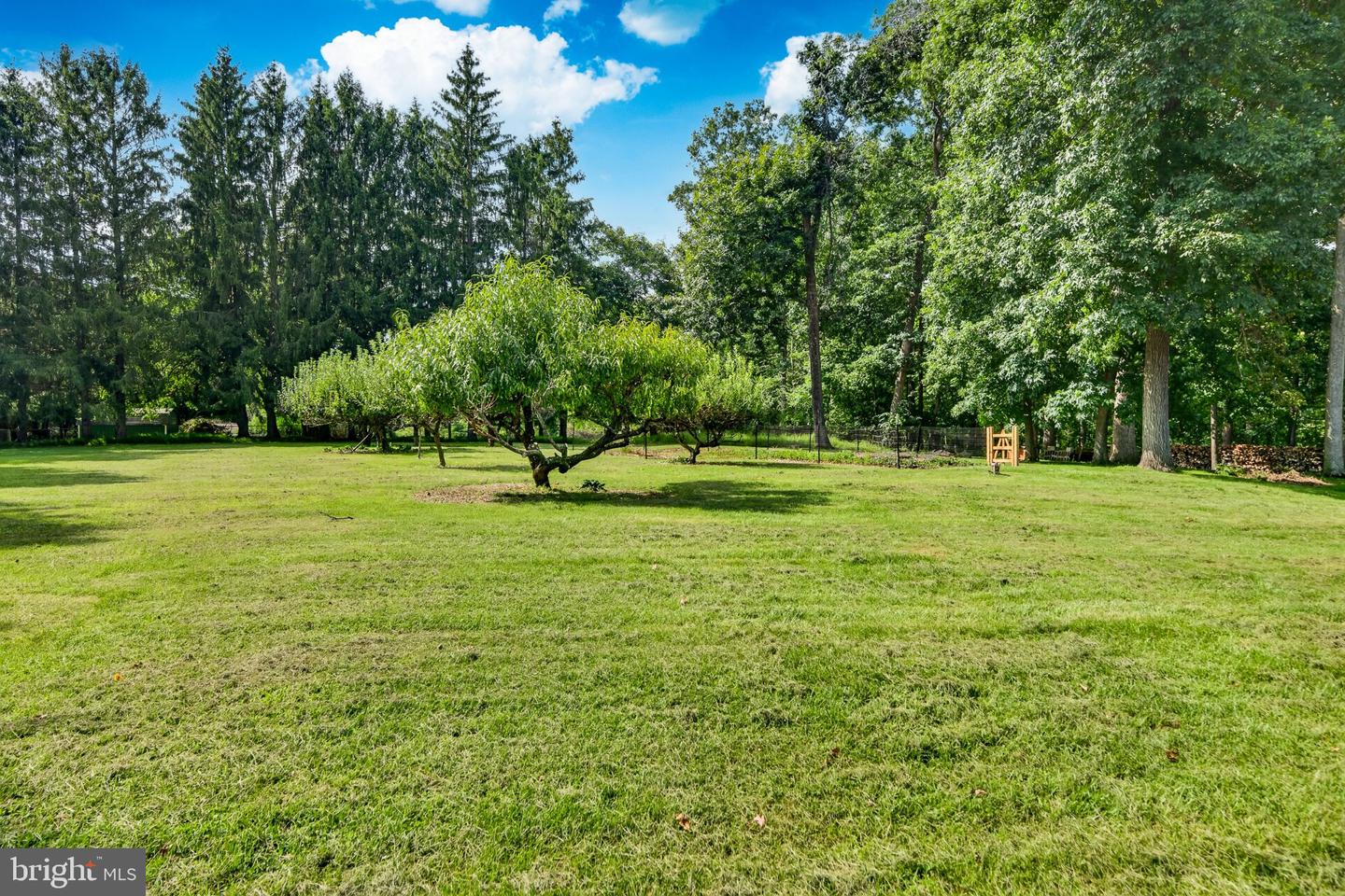 115 Windy Hill Rd Property Photo 47