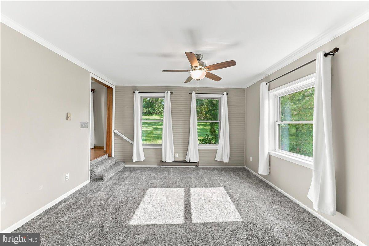 204 Colwyn Ter Property Photo 16