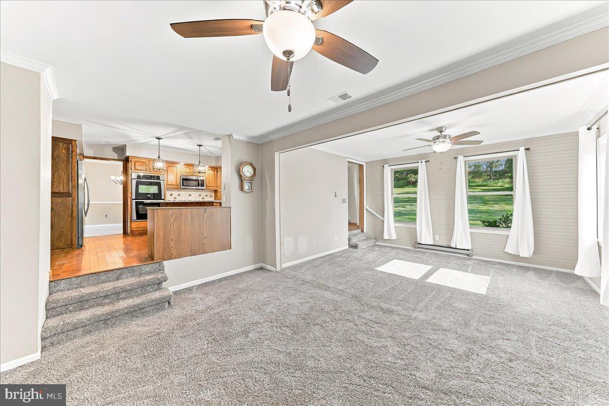 204 Colwyn Ter Property Photo 20