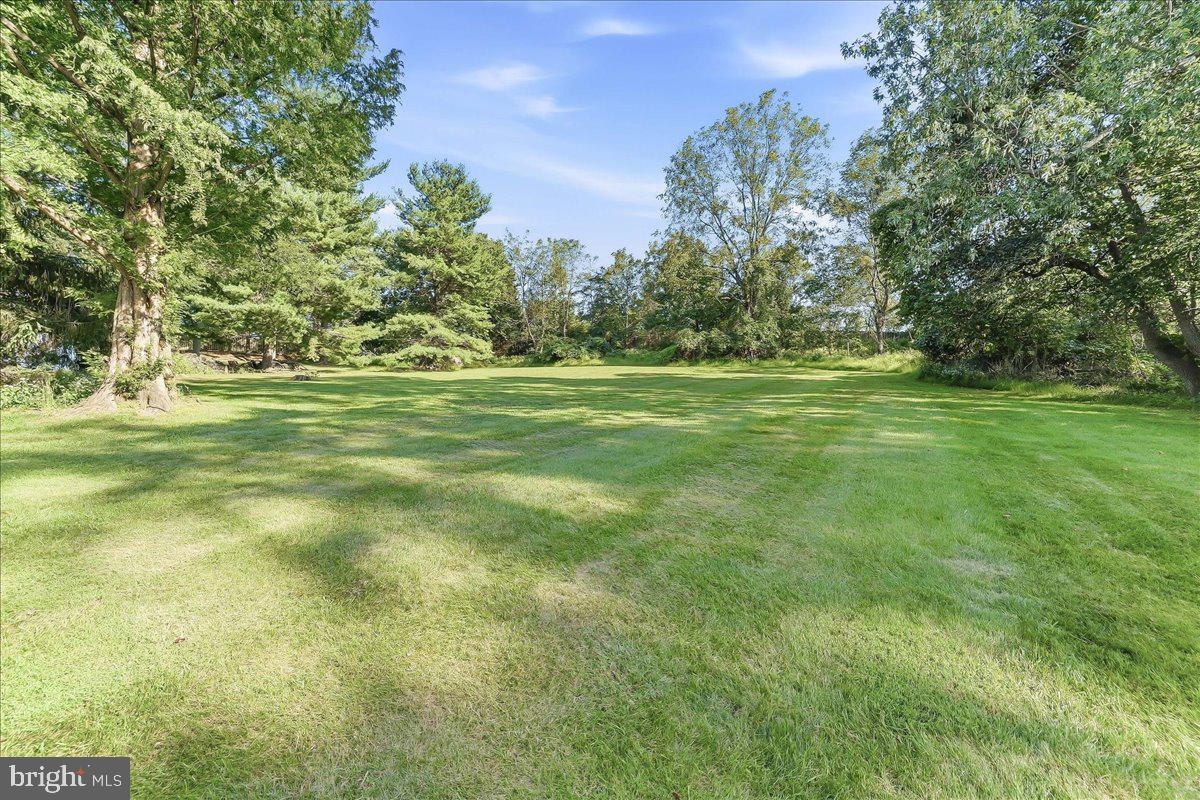 204 Colwyn Ter Property Photo 39