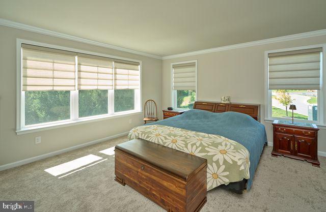 36 Valley Oak Rd Property Photo 13