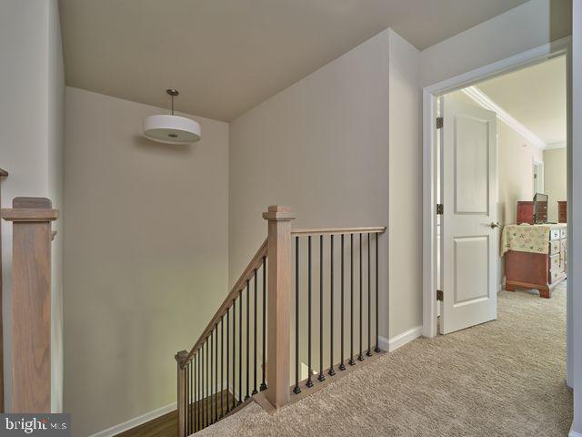 36 Valley Oak Rd Property Photo 20