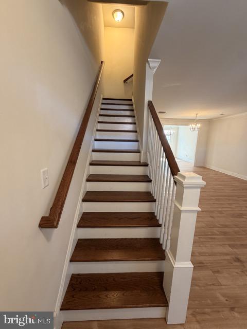 624 D St Property Photo 11