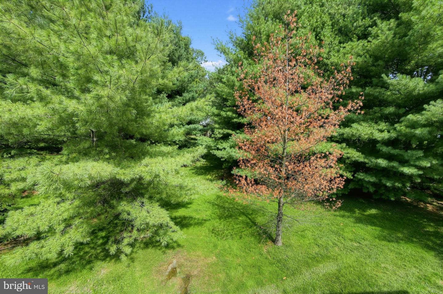 229 Tall Trees Cir #229 Property Photo 16