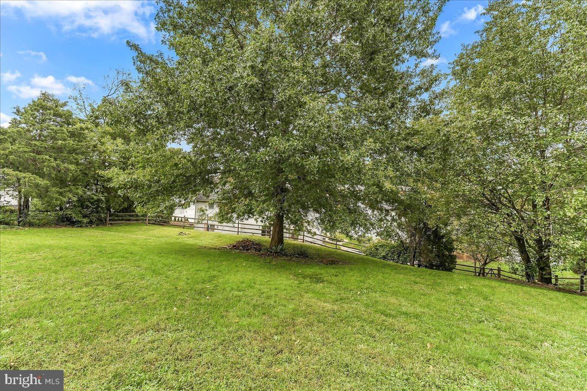 238 Brown St Property Photo 6
