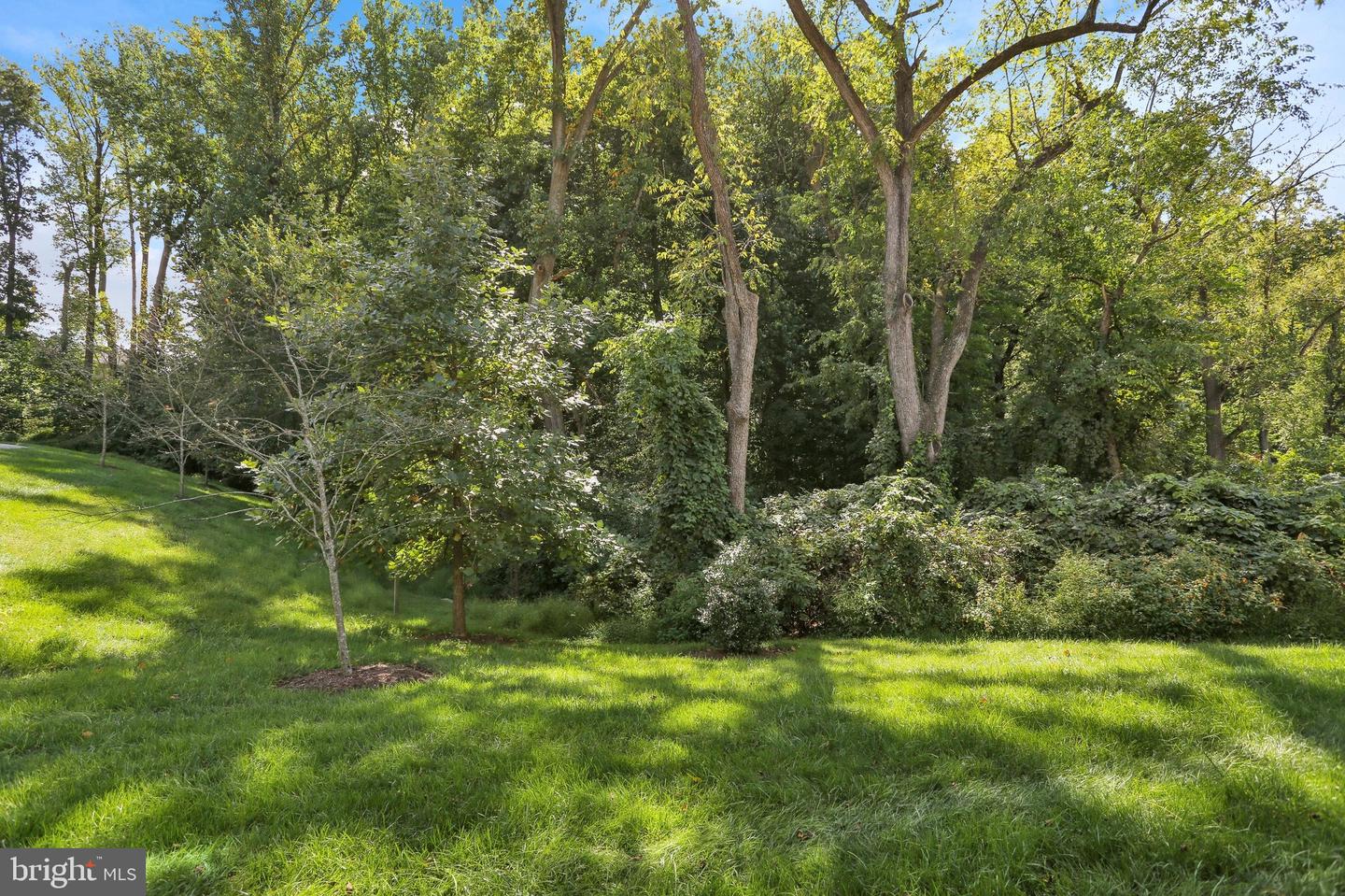 1401 Berry Dr Property Photo 40