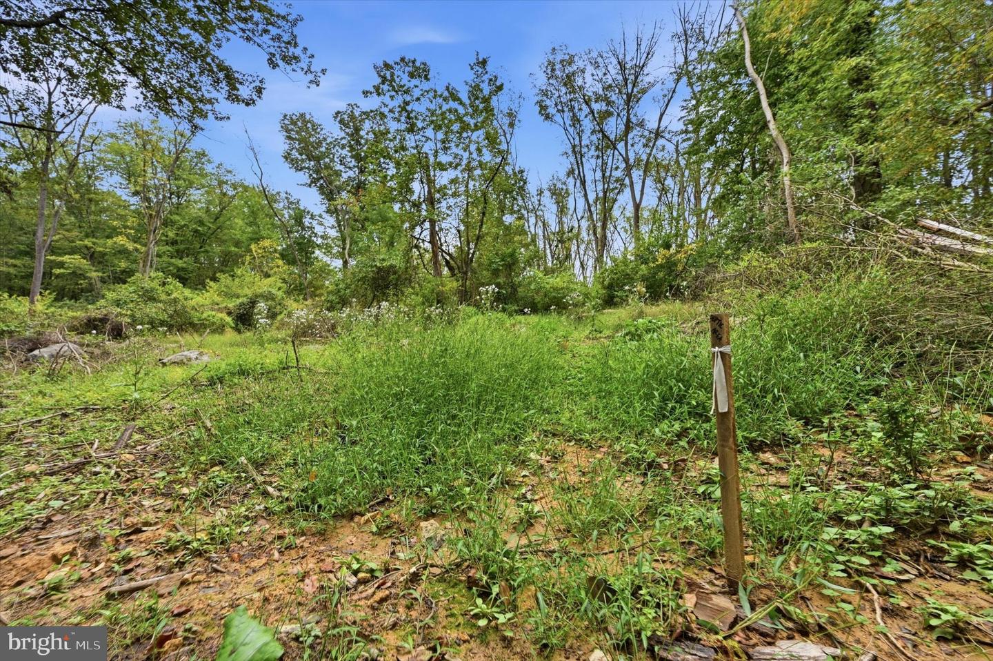 0 0 Barneston Rd Property Photo 13
