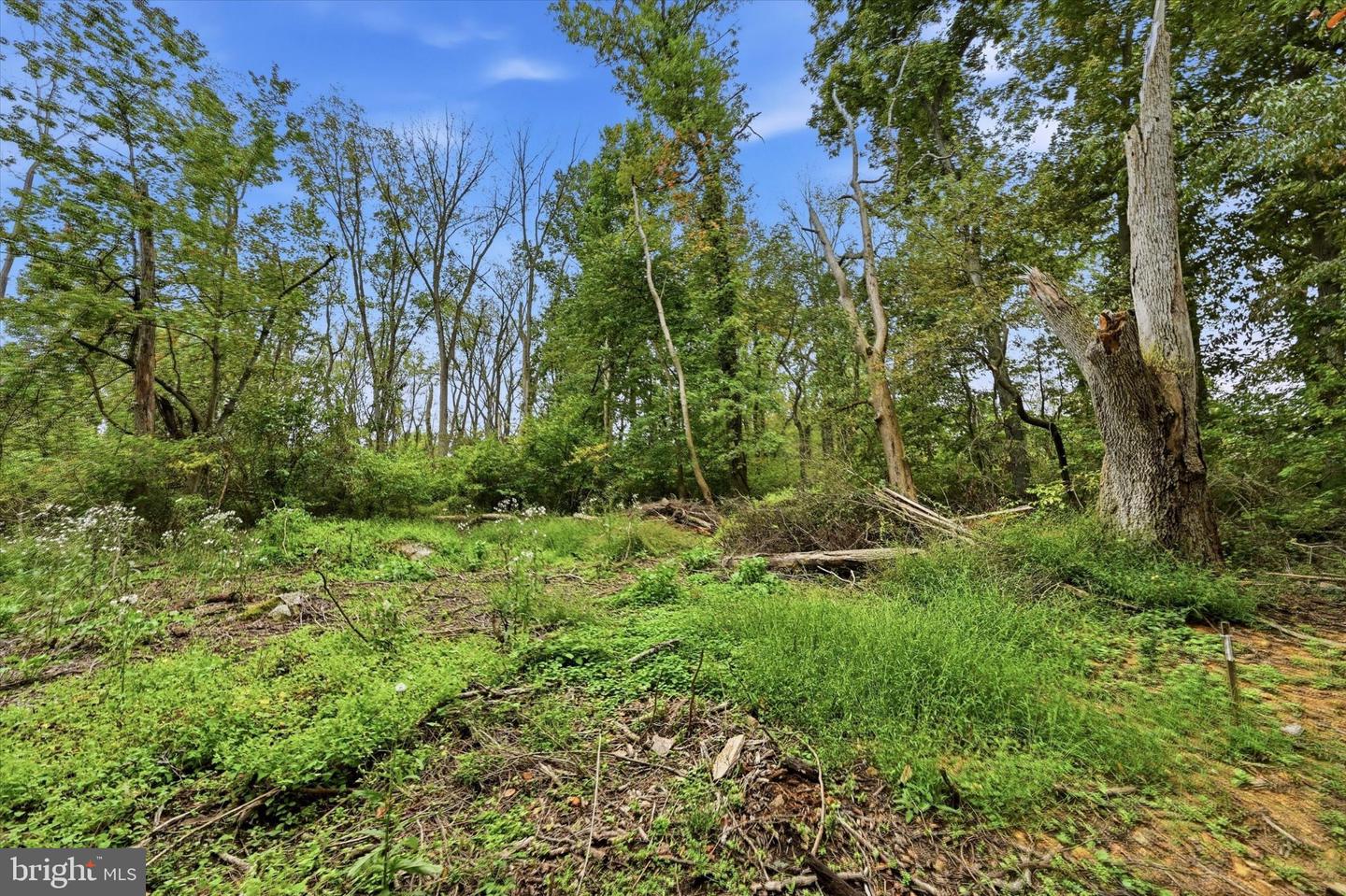0 Barneston Rd Property Photo 15