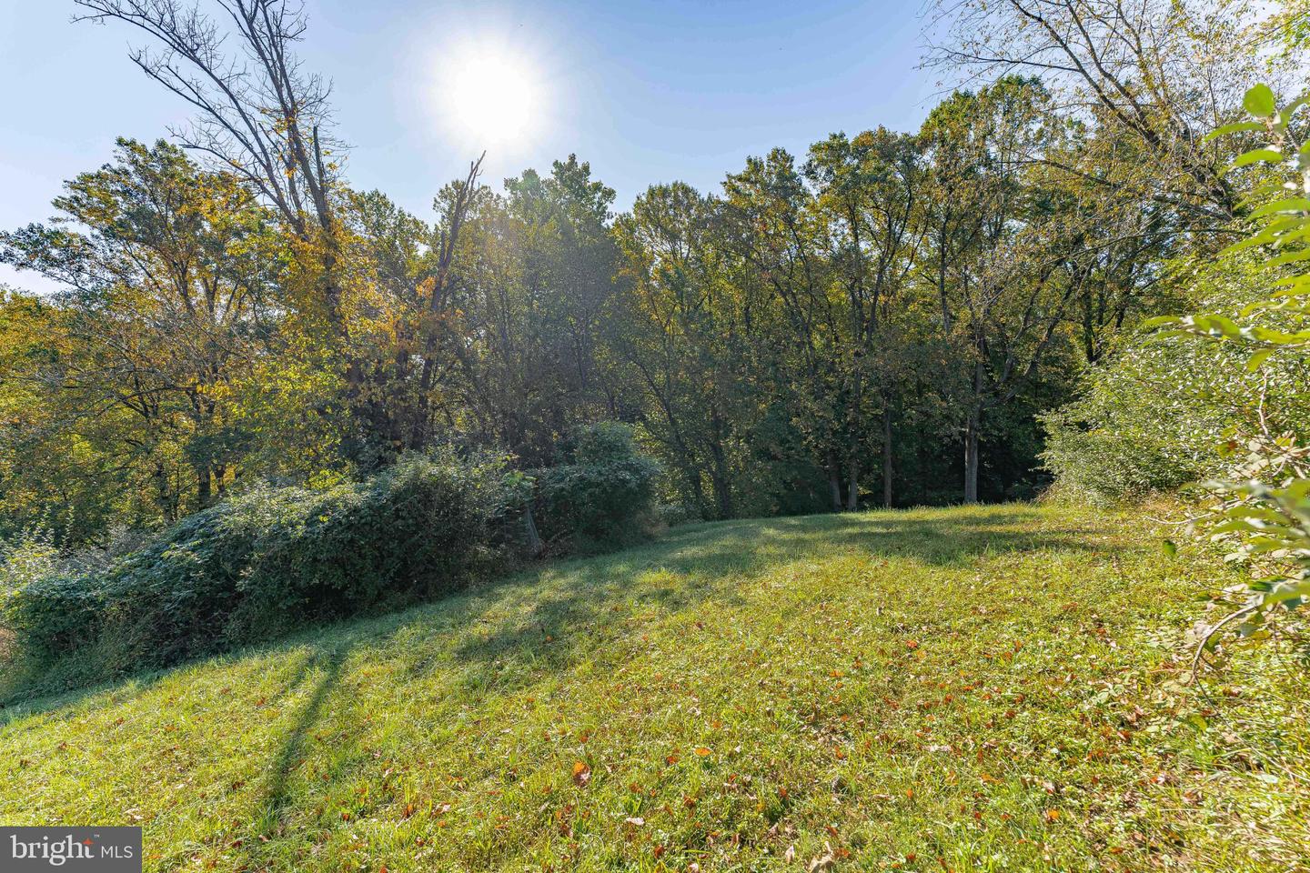 109 Thissell Ln Property Photo 12