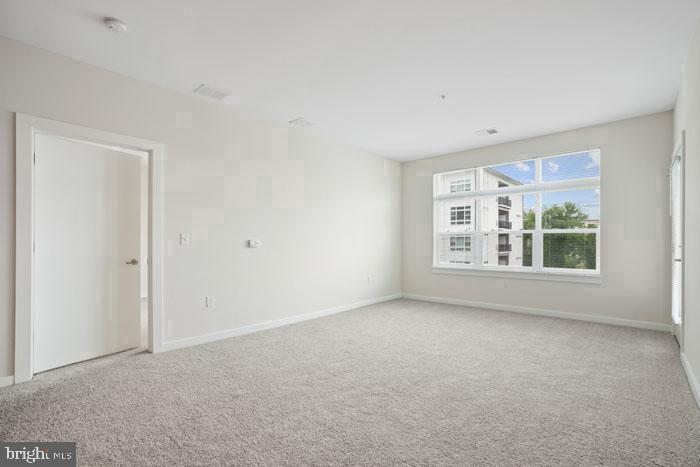 131 Bridge St #2302 Property Photo 94