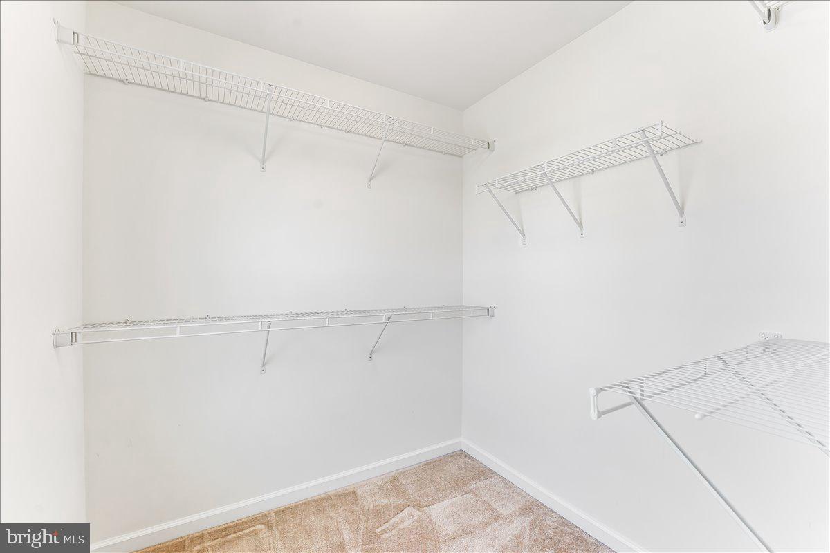142 Cricket Dr Property Photo 23