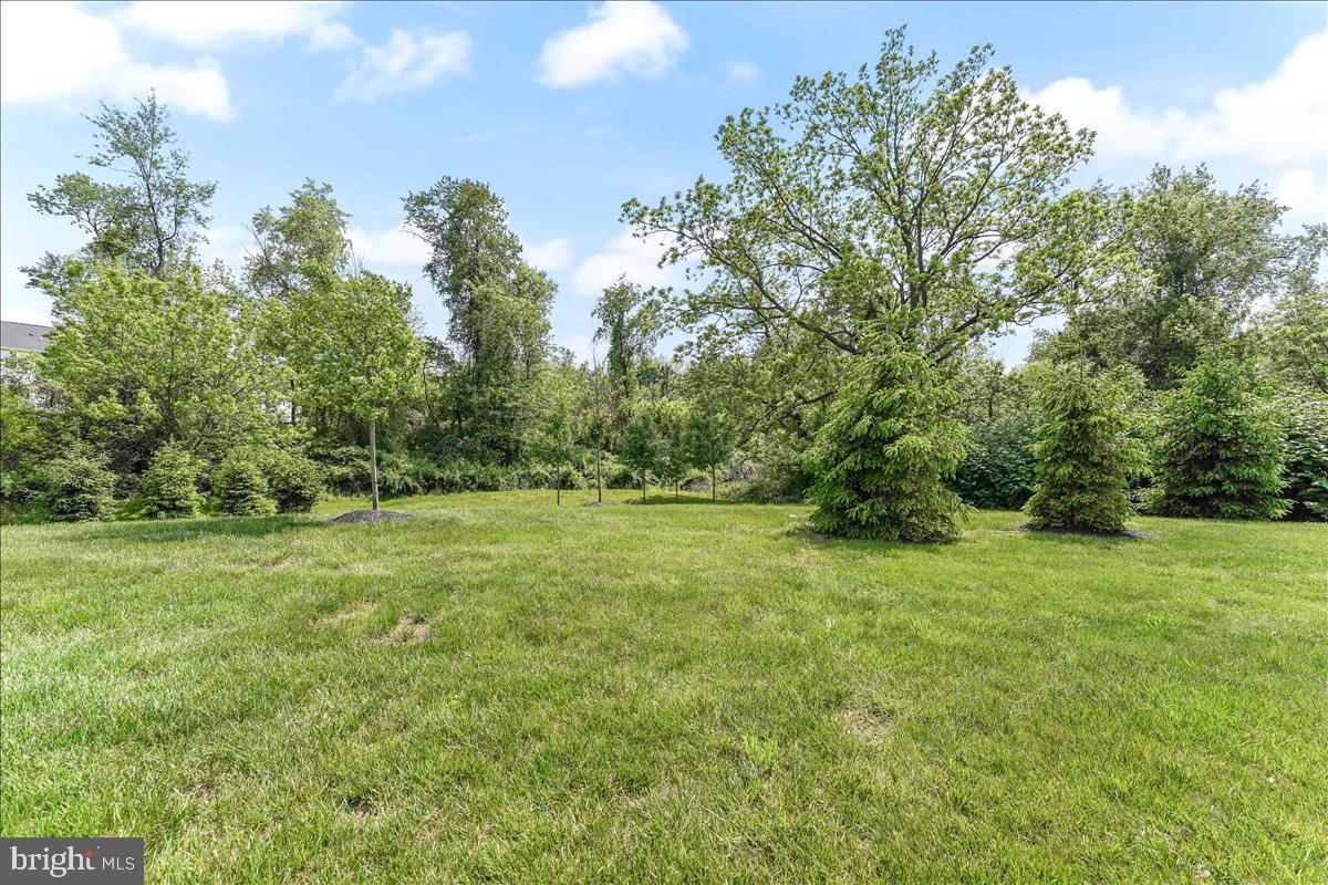 142 Cricket Dr Property Photo 35