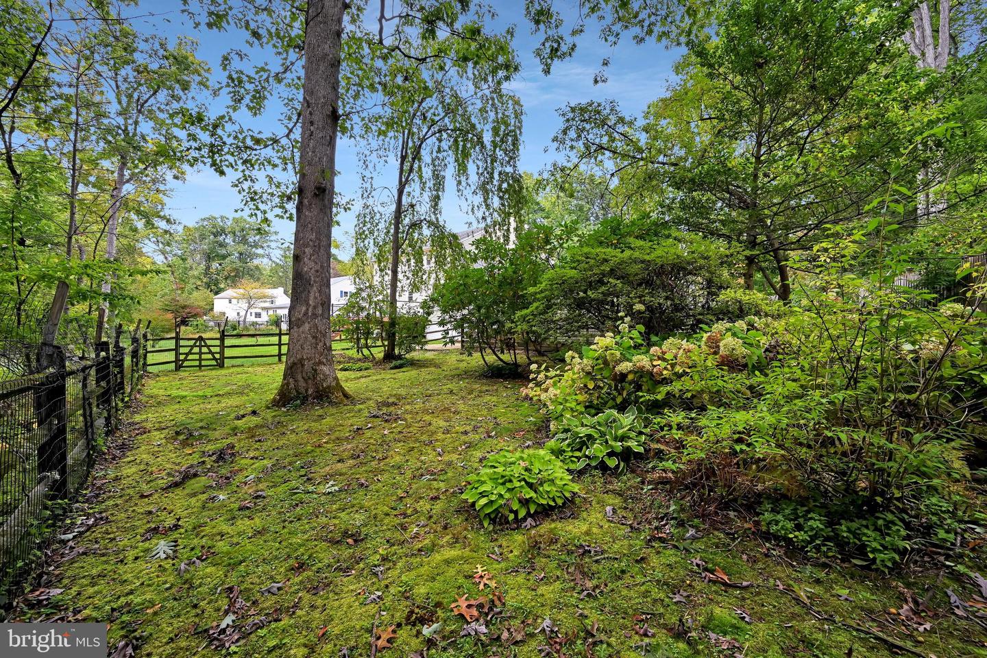 802 Irene Dr Property Photo 46