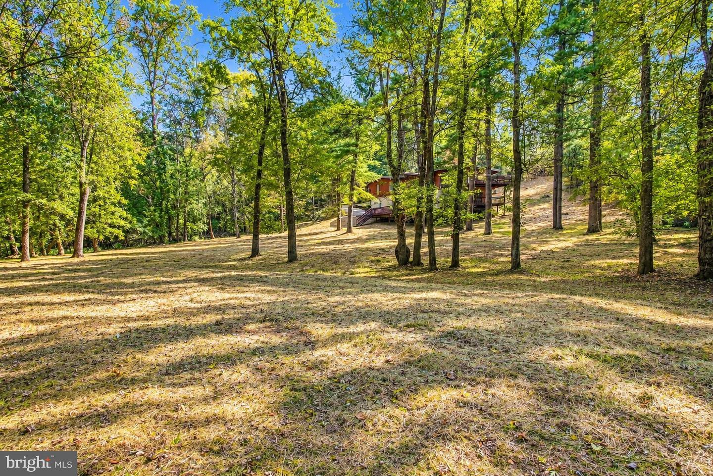 2367 Pheasant Hill Ln Property Photo 57