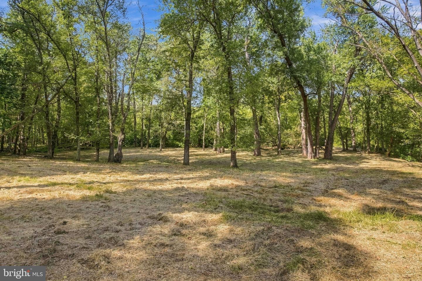 2367 Pheasant Hill Ln Property Photo 58