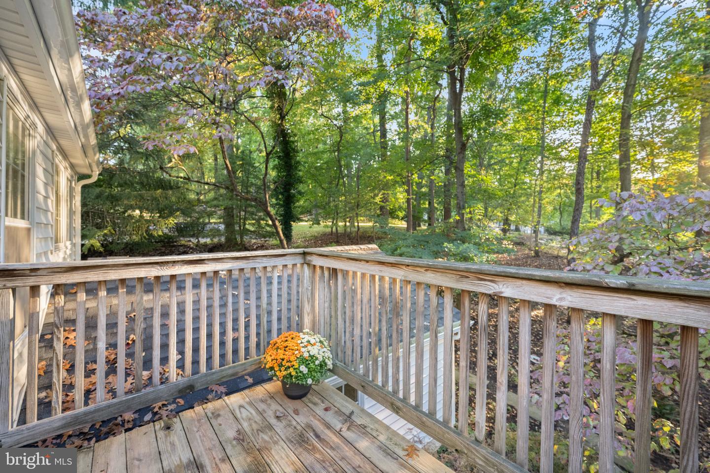 770 Hedges Ln Property Photo 36