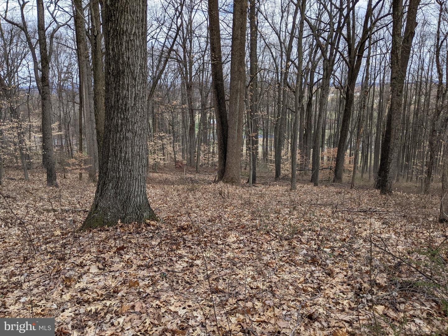 1798 Cold Springs Park Property Photo 24