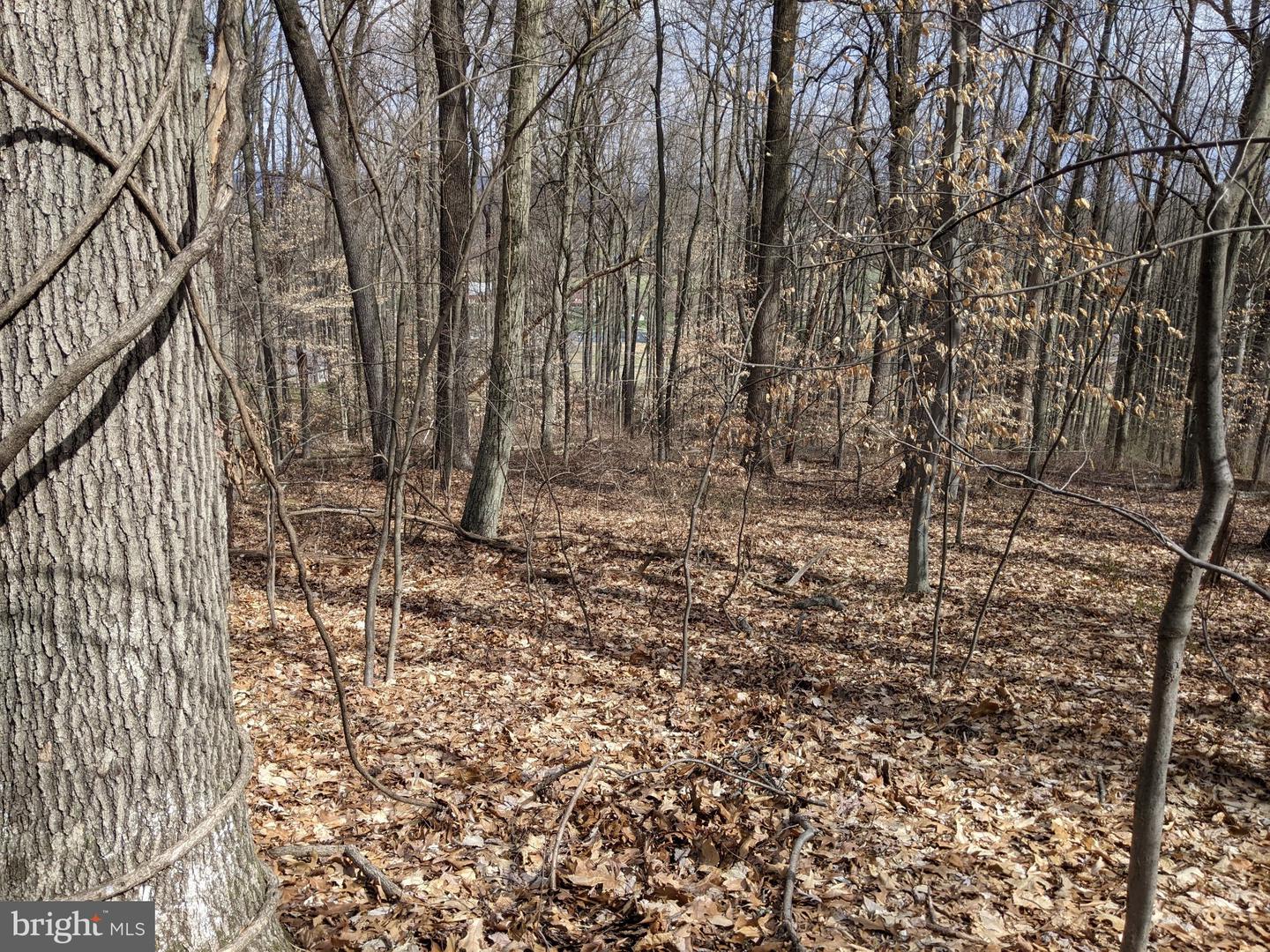 1798 Cold Springs Park Property Photo 25