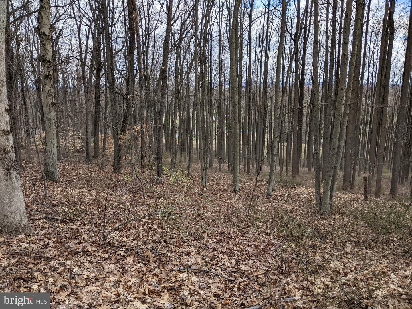 1798 Cold Springs Park Property Photo 26