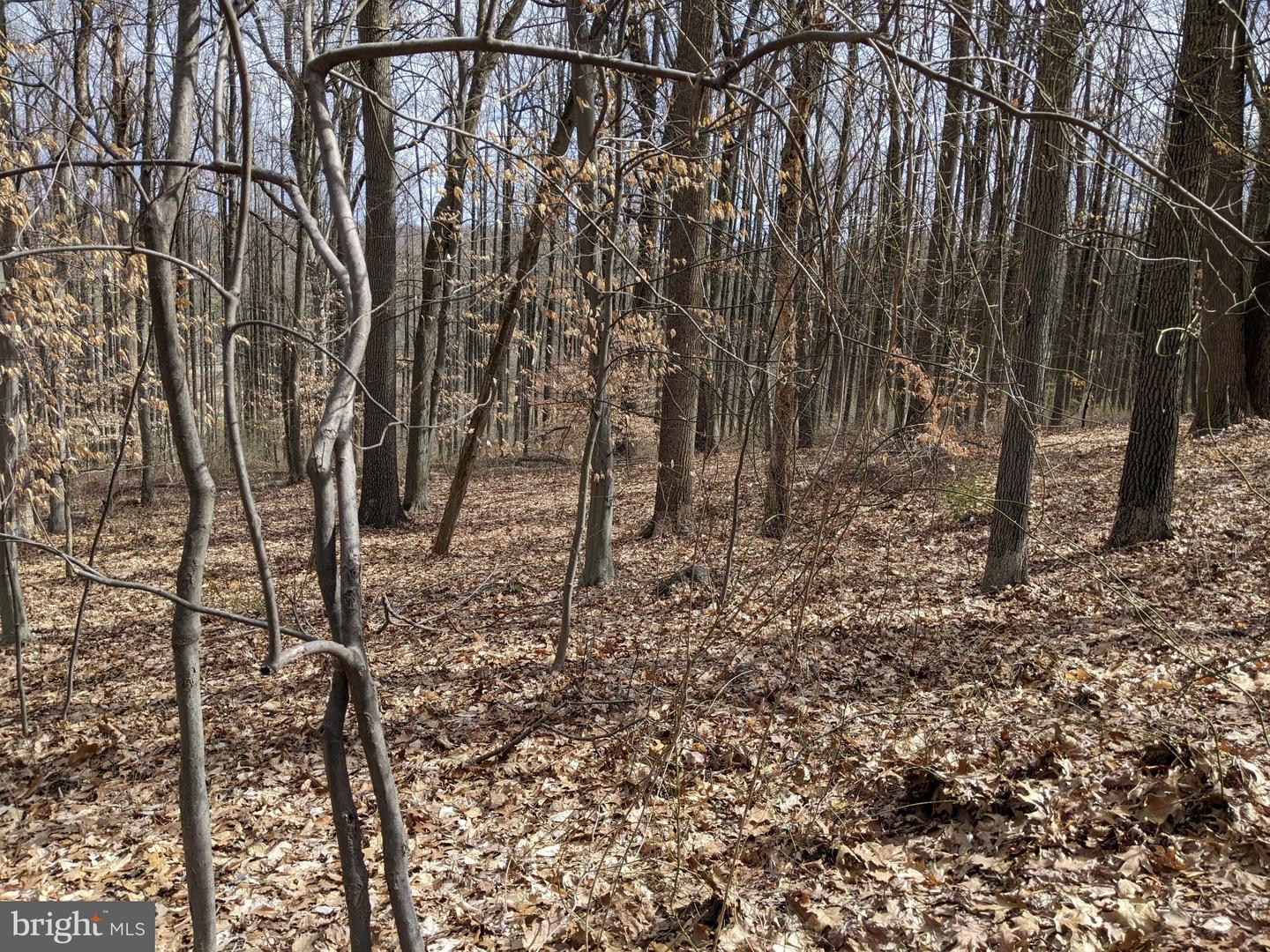 1798 Cold Springs Park Property Photo 27
