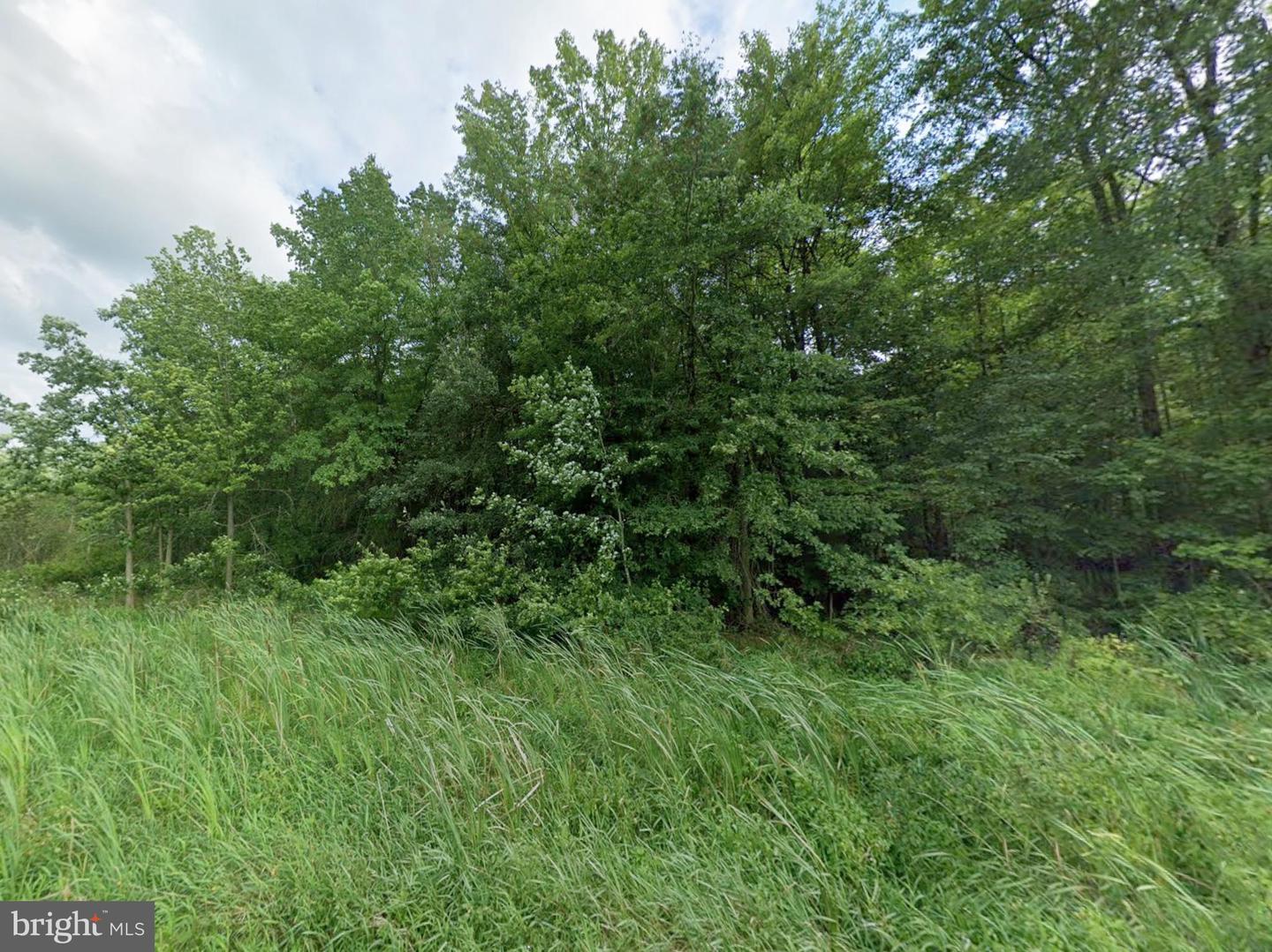 Williams Rd Property Photo 3
