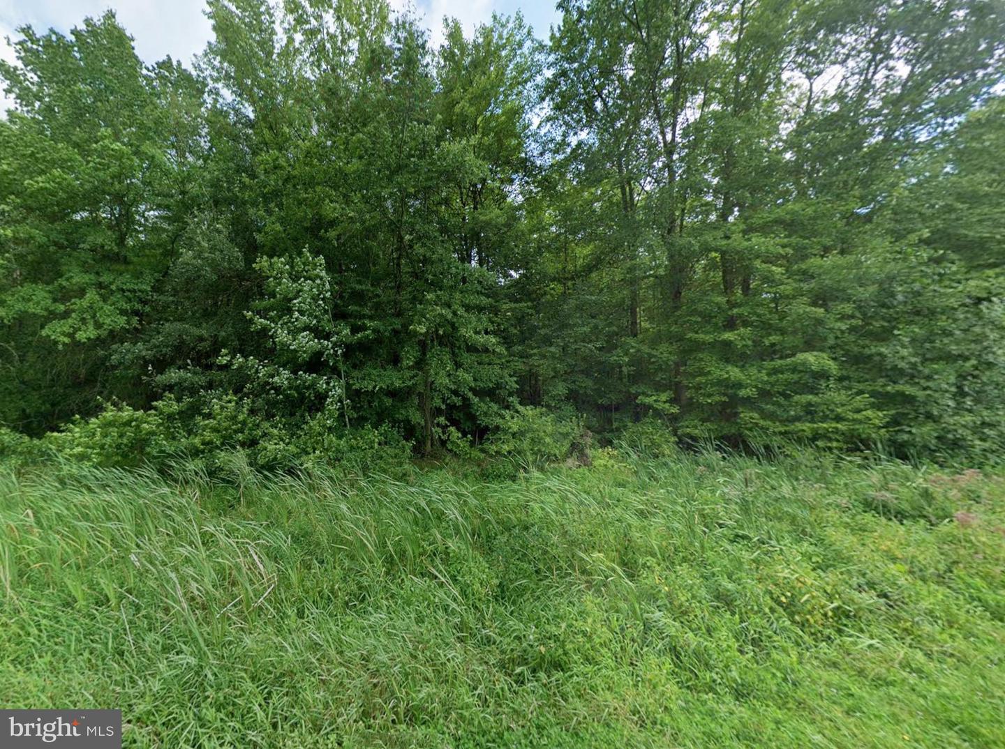 Williams Rd Property Photo 4