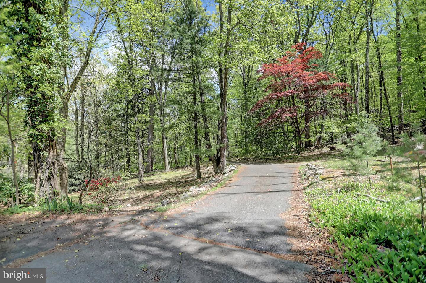 7732 Route 209 Property Photo 5