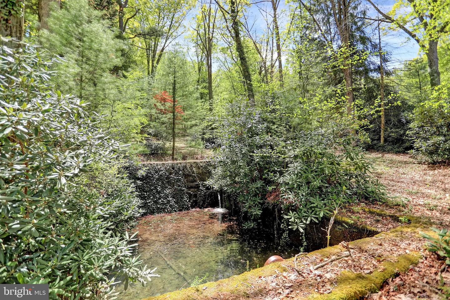 7732 Route 209 Property Photo 6
