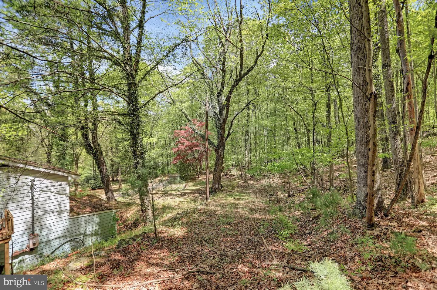 7732 Route 209 Property Photo 26