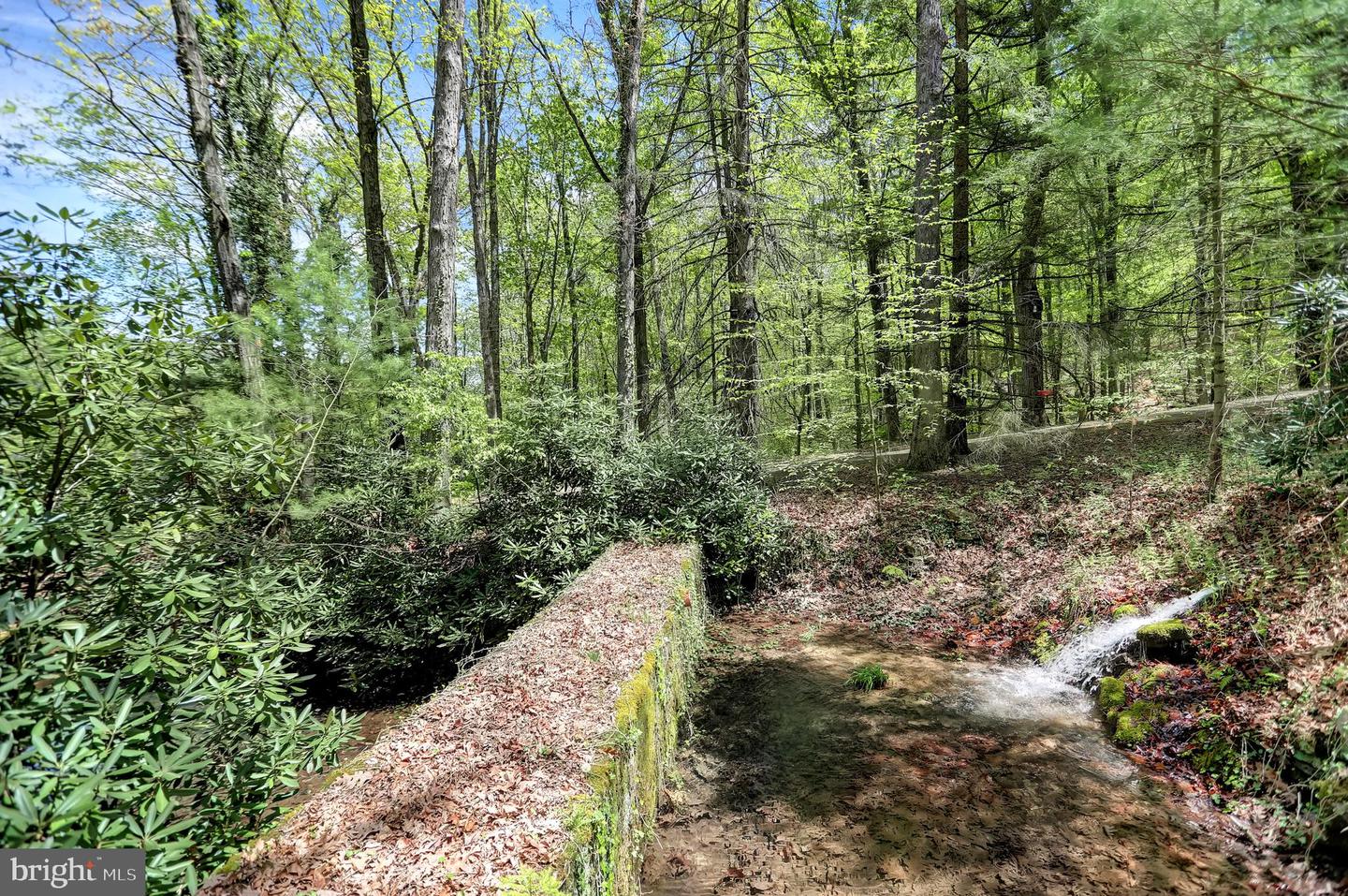 7732 Route 209 Property Photo 28