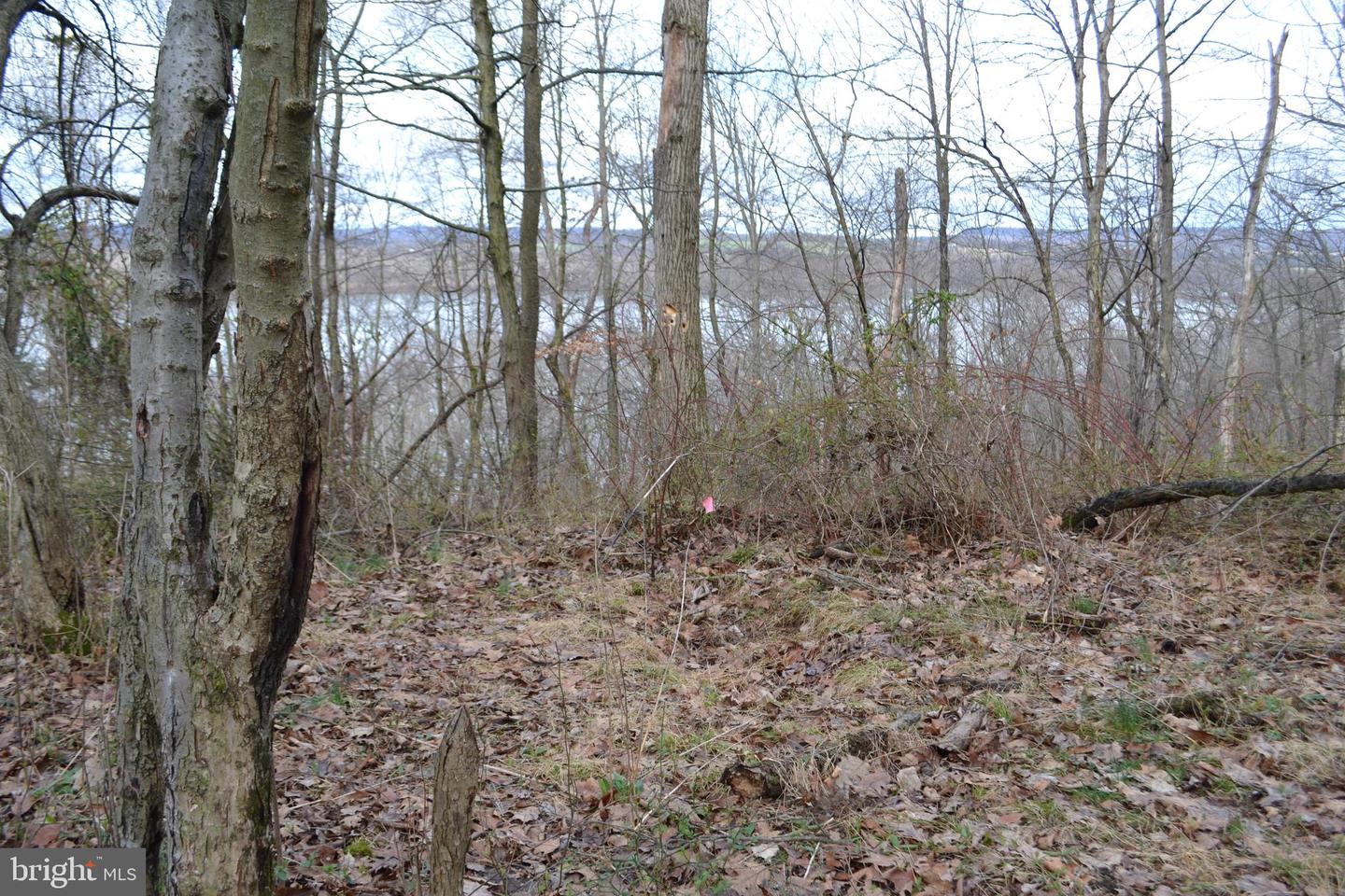 0 S River Rd Property Photo 9