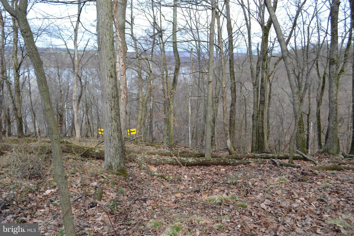 0 S River Rd Property Photo 10