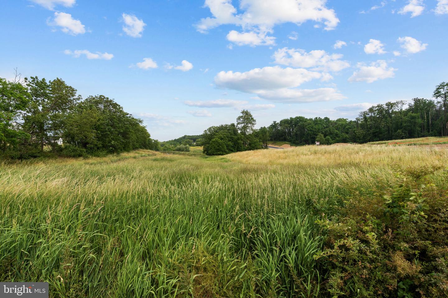 Lot 22 Jillian Way Property Photo 6