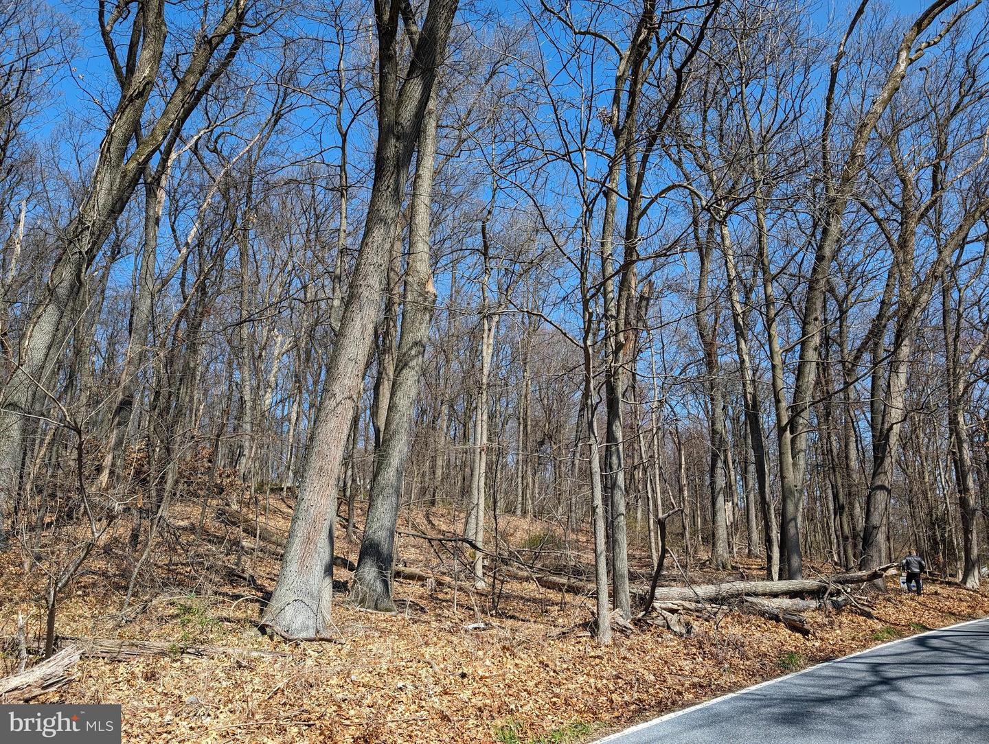 Lots 1 & 2 Hilltop Rd Property Photo 8